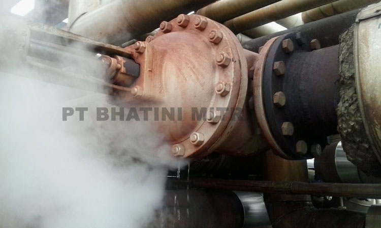 image of Keterbatasan Infrastruktur Menjadi Kendala Pengelolaan Kekayaan Gas RI